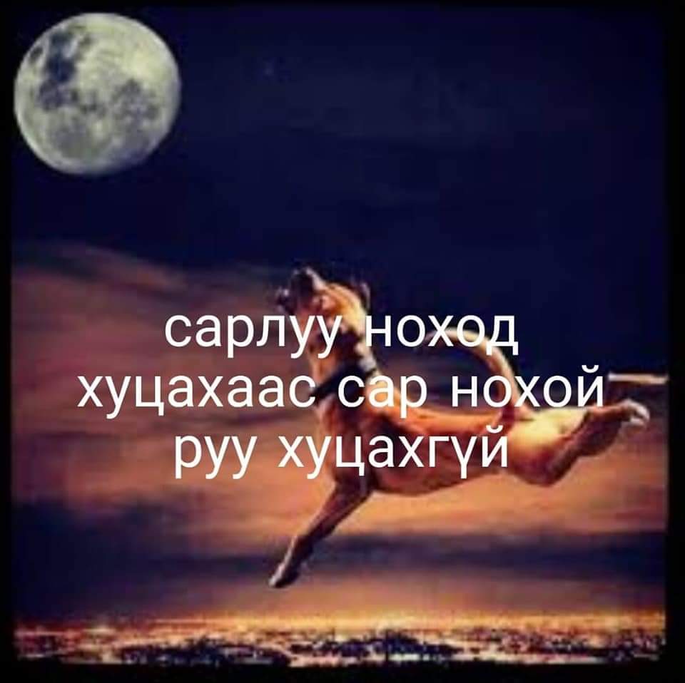 Тѳвшѳѳ (@tuvshinjargal_b) on Twitter photo 