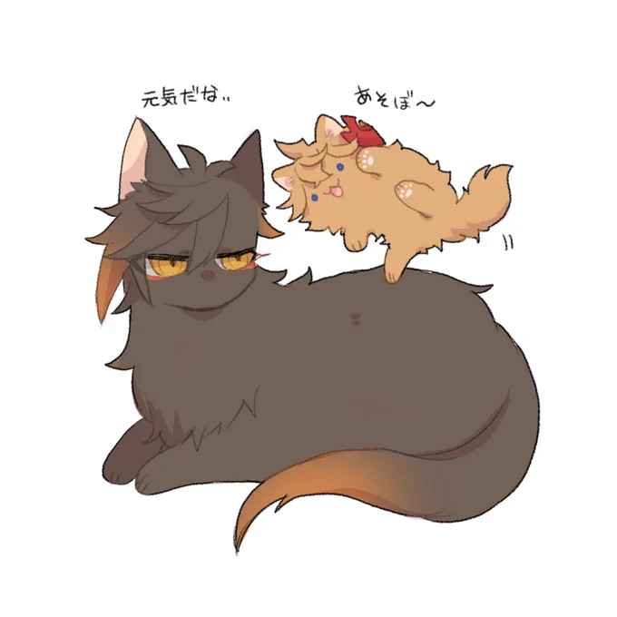 マロリクありがとうございました🙇‍♀️🙇‍♀️

🐈 