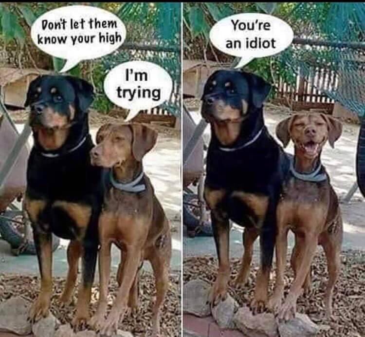 jack76176110's tweet photo. W’all have that one friend 😅 #positivevibes feat #positiveweekend https://t.co/ScKLttOvEt