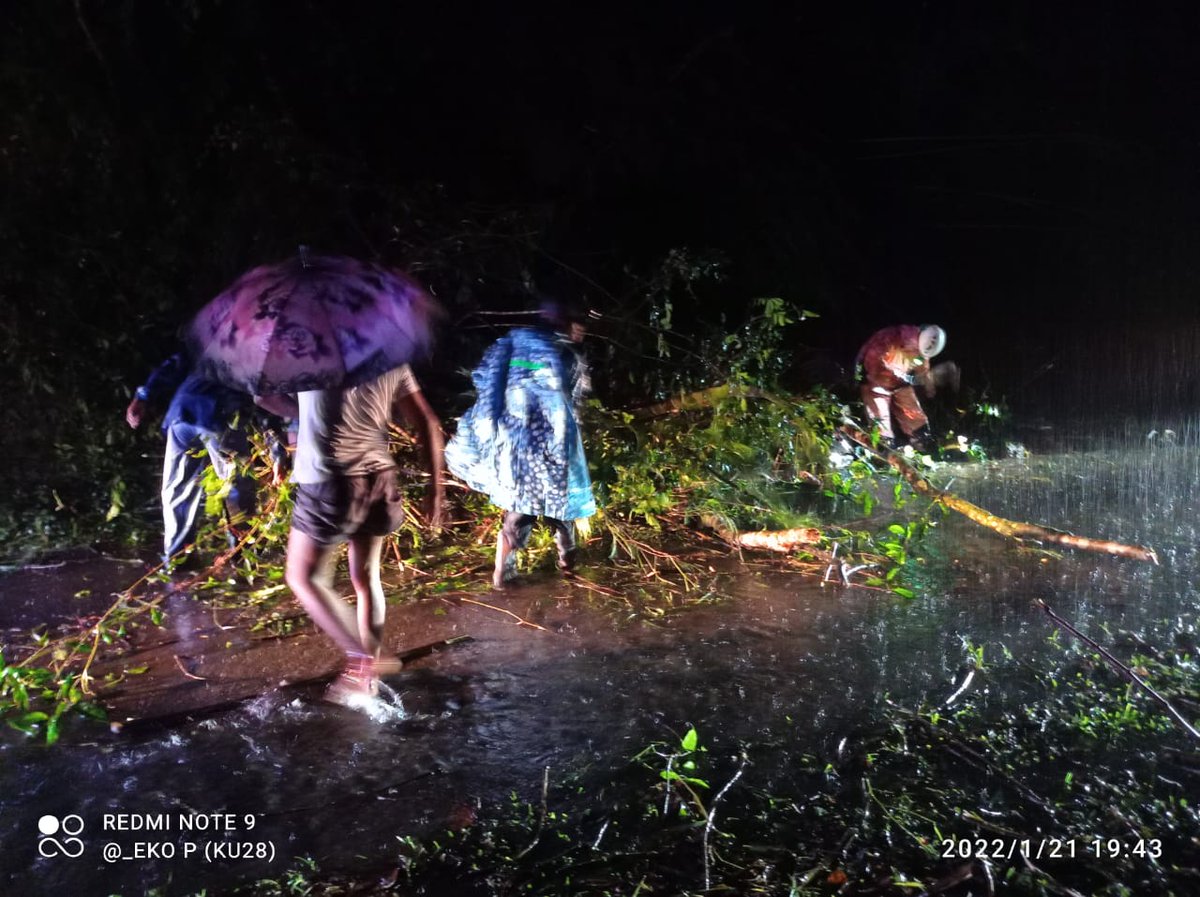 𝙎𝘼𝙍 𝙆𝘼𝙇𝙄𝙐𝙍𝘼𝙉𝙂 tweet media