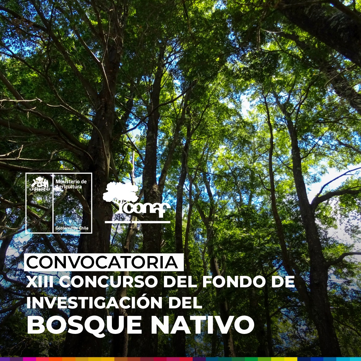 👩‍🔬 Nueva convocatoria del XIII Concurso del Fondo de Investigación del Bosque Nativo. 🌳 🌿  Los fondos están orientados a incentivar y apoyar la investigación científica y tecnológica relacionada con el #bosque.

Bases del concurso en investigacion.conaf.cl/login/index.php