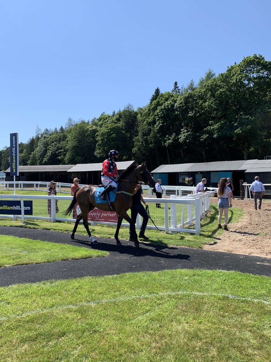 Dialadistance's tweet photo. News on everyone’s favourite DialADistance horse KEEPER CHRIS coming soon! https://t.co/YzZkr8G4ht