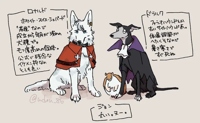 リア友が好きなやつだ〜と思いながらアニメ見てたらこうなった

※擬獣化 