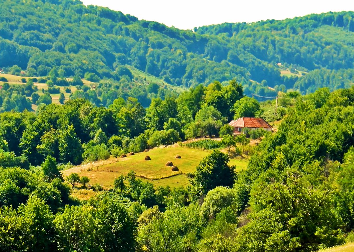WatchRelax's tweet photo. The landscape between Suncuius and the hamlets of Zece Hotare, Gugu and Tomnatic 😋

This is filmed in 4K:
https://t.co/HCjNGiPdJr ▶️

🔴 #Suncuius #ZeceHotare #Gugu #Tomnatic #MuntiiPadureaCraiului #MuntiiApuseni #PadureaCraiuluiMountains #Bihor #JudetulBihor #BihorCounty https://t.co/TknthlgCwO