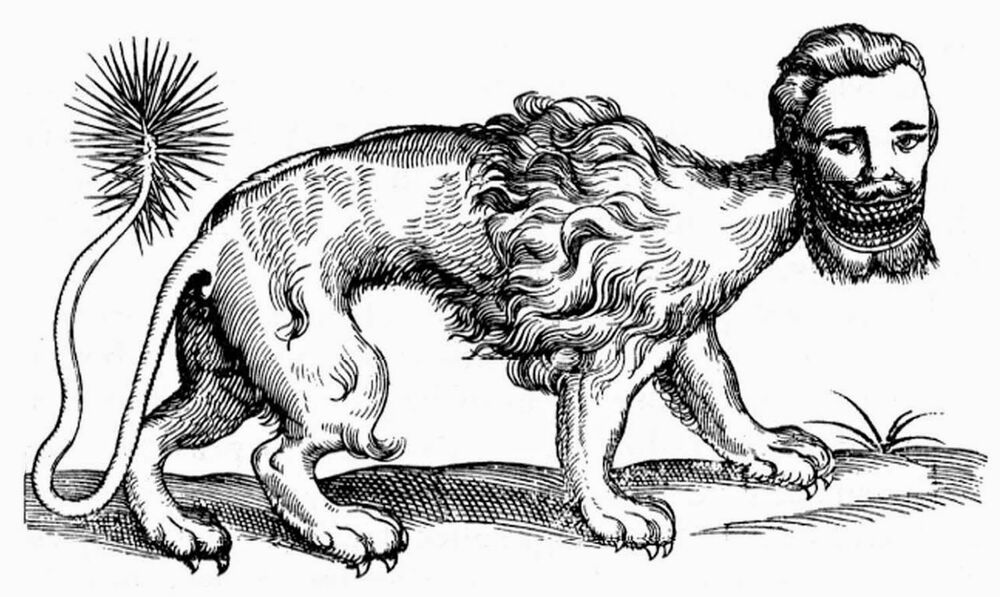 ParaSightApp's tweet photo. We just added the Manticore to our database!
If you've seen one, download the app and report it!
#paranormal #ufotwitter #cryptids #supernatural #parasight https://t.co/4re3o2W3Eo