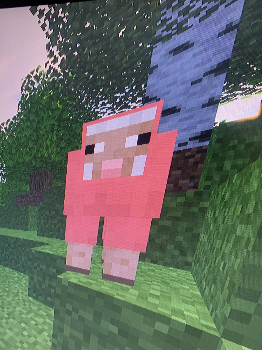 Schunath_'s tweet photo. Me: “OMG! I FOUND THE RAREST SHEEP SPAWN!”
Also Me: … #Minecraft https://t.co/HANucNW3fW