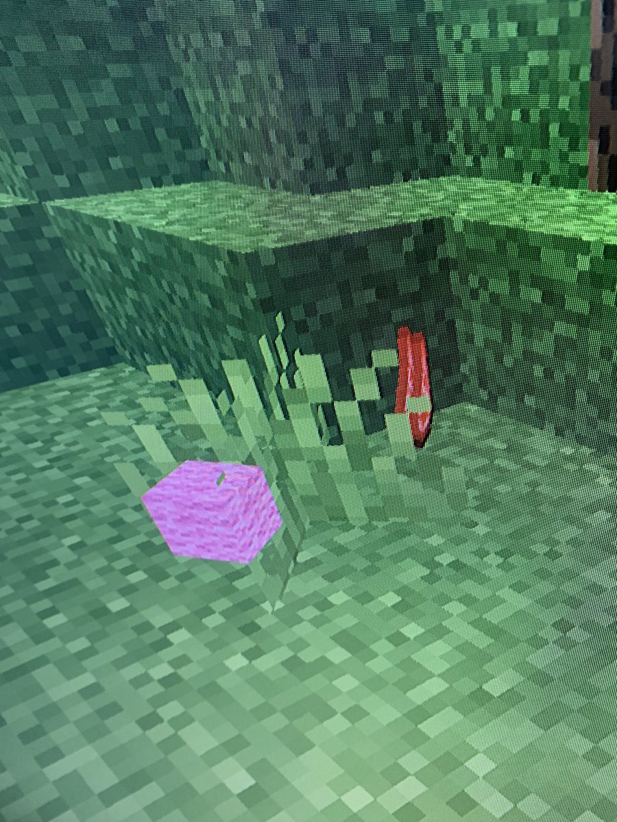 Schunath_'s tweet photo. Me: “OMG! I FOUND THE RAREST SHEEP SPAWN!”
Also Me: … #Minecraft https://t.co/HANucNW3fW