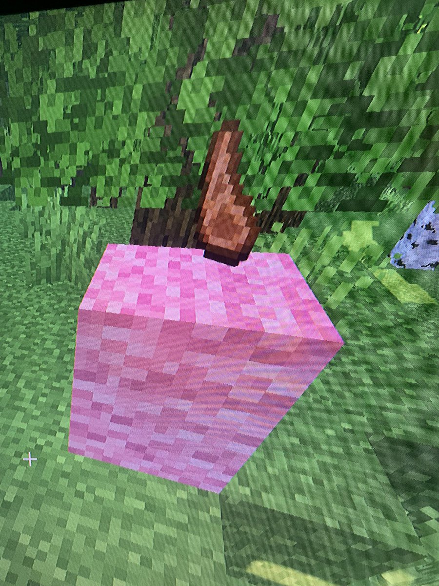 Schunath_'s tweet photo. Me: “OMG! I FOUND THE RAREST SHEEP SPAWN!”
Also Me: … #Minecraft https://t.co/HANucNW3fW