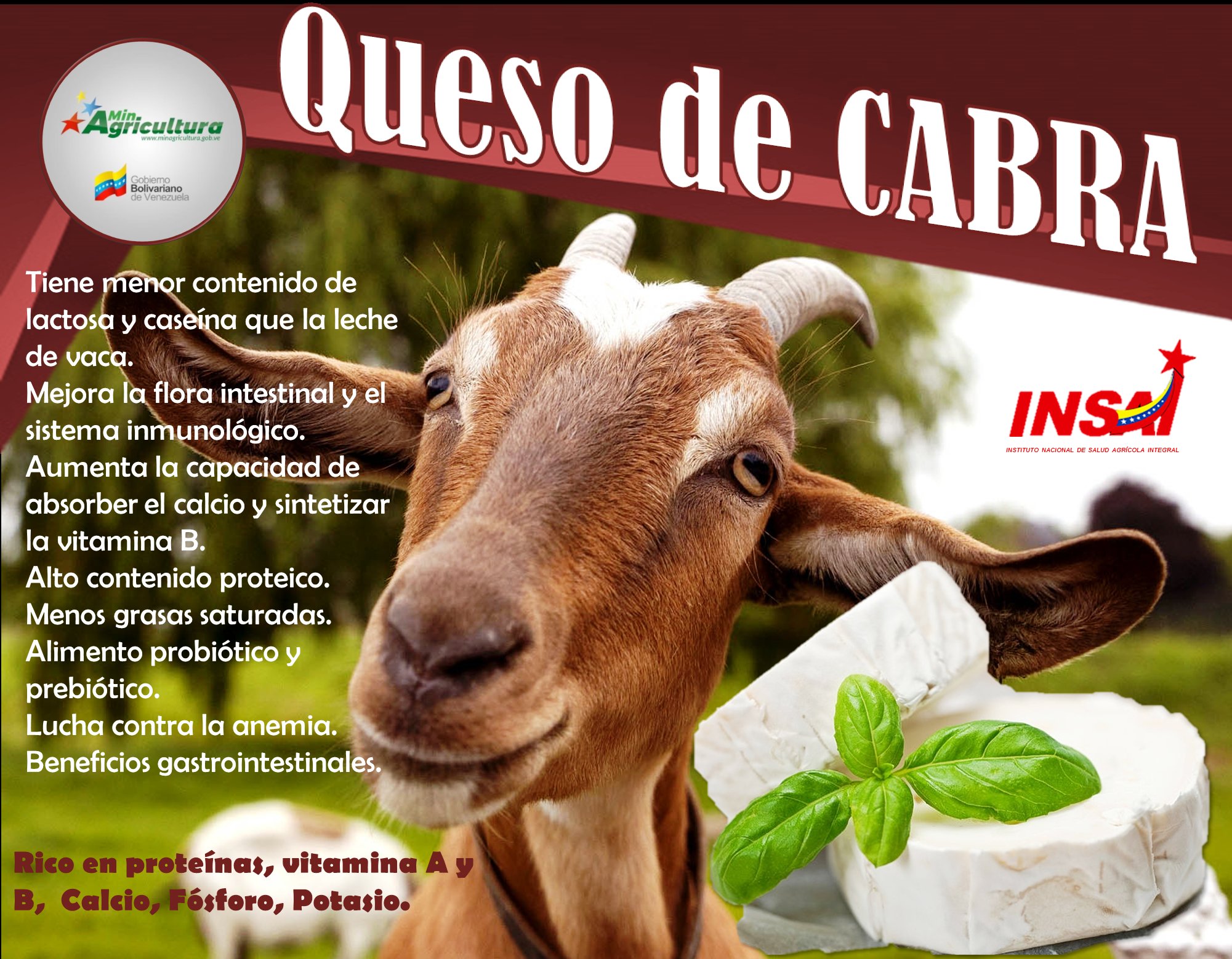 El papel de la leche de cabra en una alimentación saludable