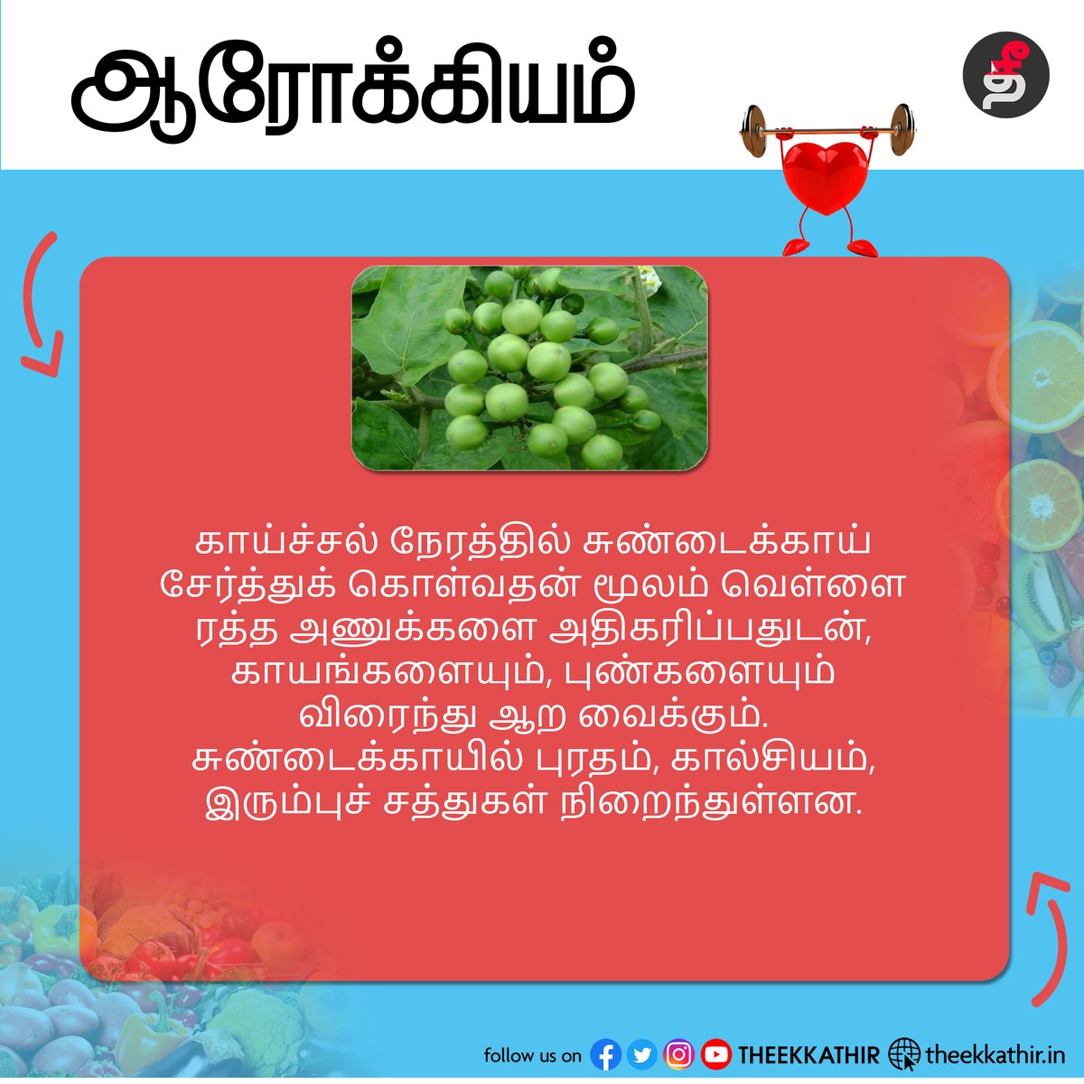 Theekkathir's tweet photo. ஆரோக்கியம்!
#theekkathir | #health | #turkeyberry https://t.co/UMiIxnEvhD