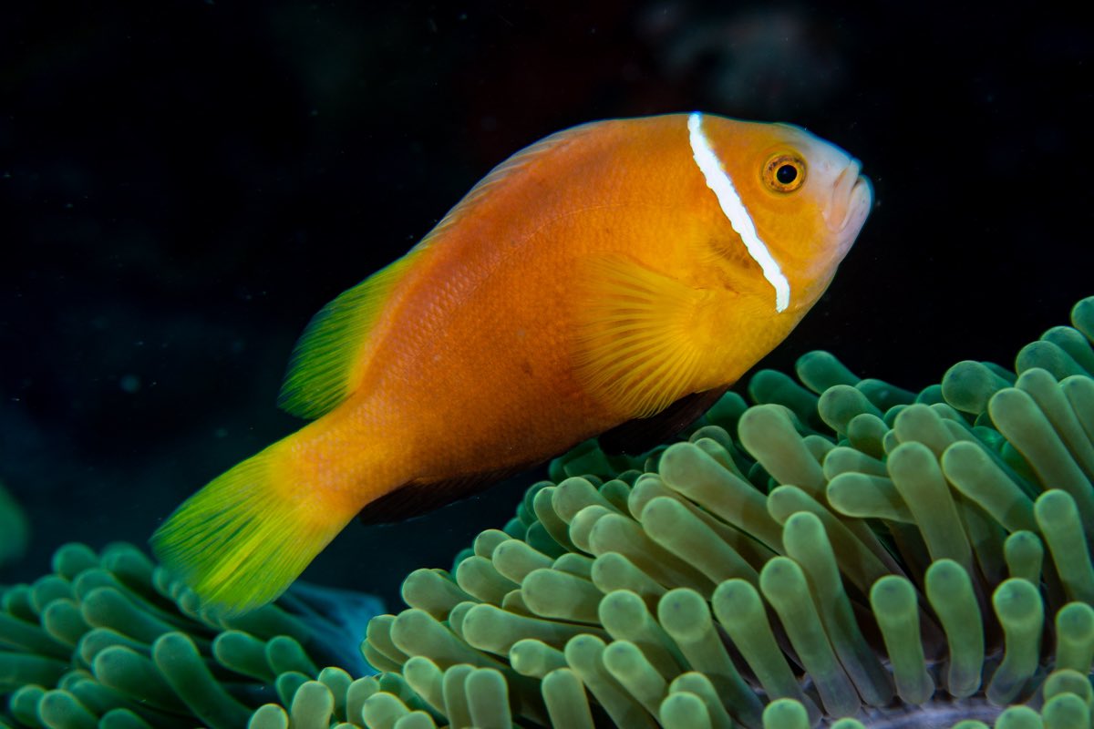 Luiz Rocha, PhD tweet media