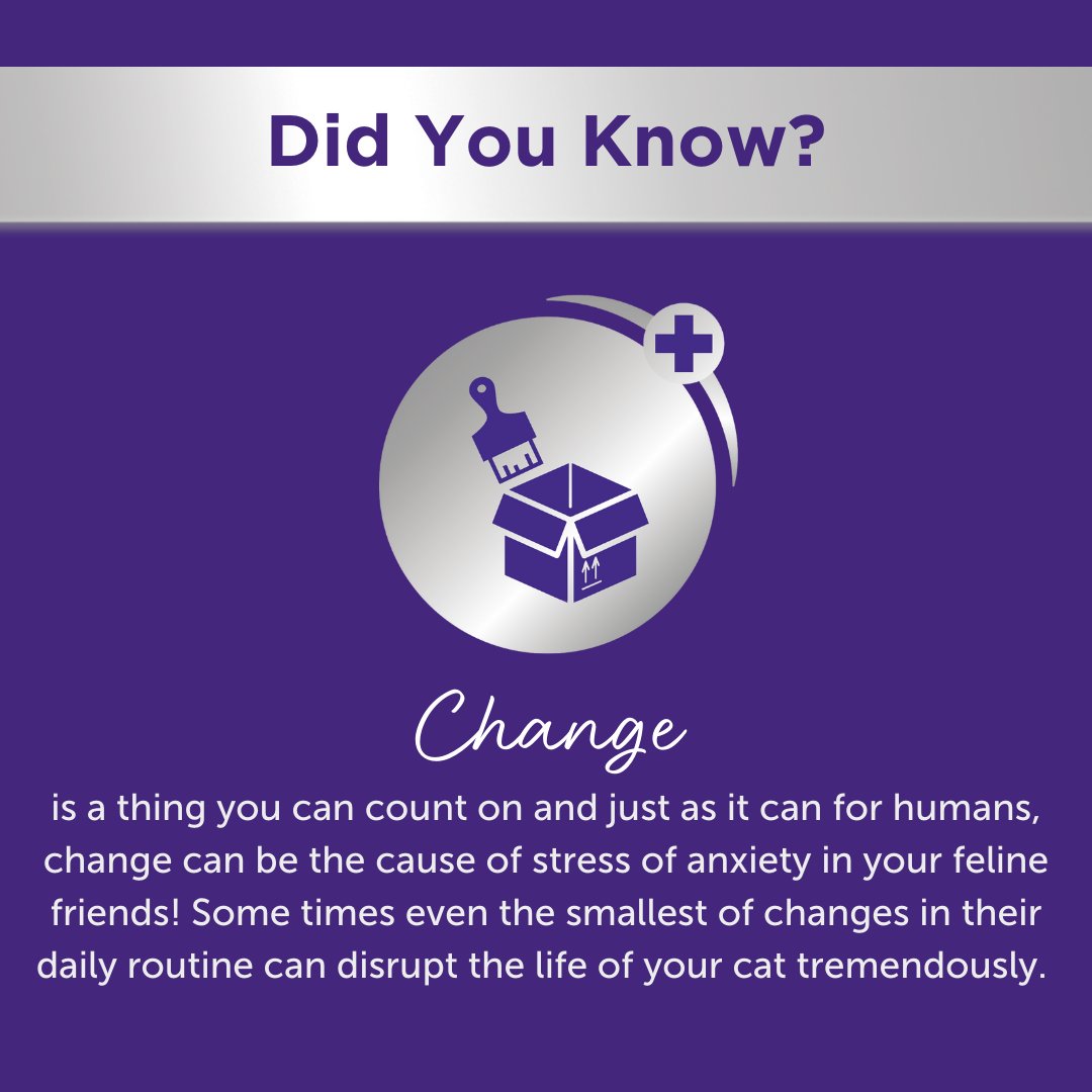 Minimize the amount of stress caused by lifestyle changes by adapting FELIWAY Optimum into your home. FELIWAY Optimum is a new pheromone discovery, and the best FELIWAY answer to reduce the most common signs of stress, such as reaction to change! https://t.co/mTvGQDtmgx