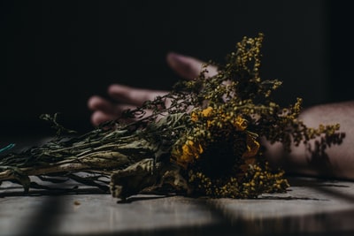 PropiaSalud's tweet photo. Photo By César Abner Martínez Aguilar | Unsplash - via @Crowdfire  
 #death #money #simulationgames #beverage #facebookadvertisement https://t.co/ju3XsNPL43