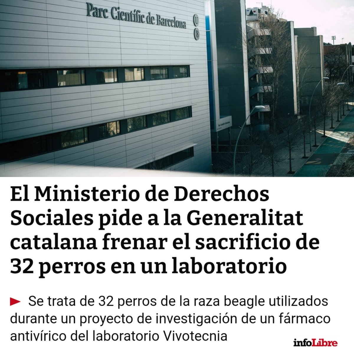Este sacrificio es innecesario y cruel y por eso pedimos que se proteja la vida de estos animales.

Nos ponemos a disposición de la Generalitat para dar respuesta a este caso que ha conmovido a nuestra sociedad y seguimos trabajando para garantizar los derechos de los animales.