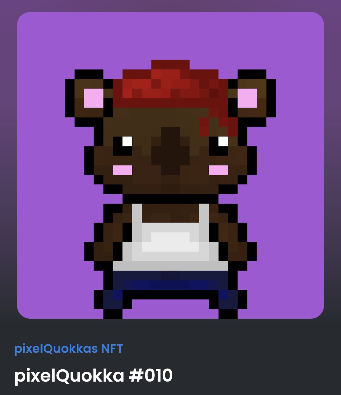 pixelQuokkas (pixelQuokkasNFT) / Twitter