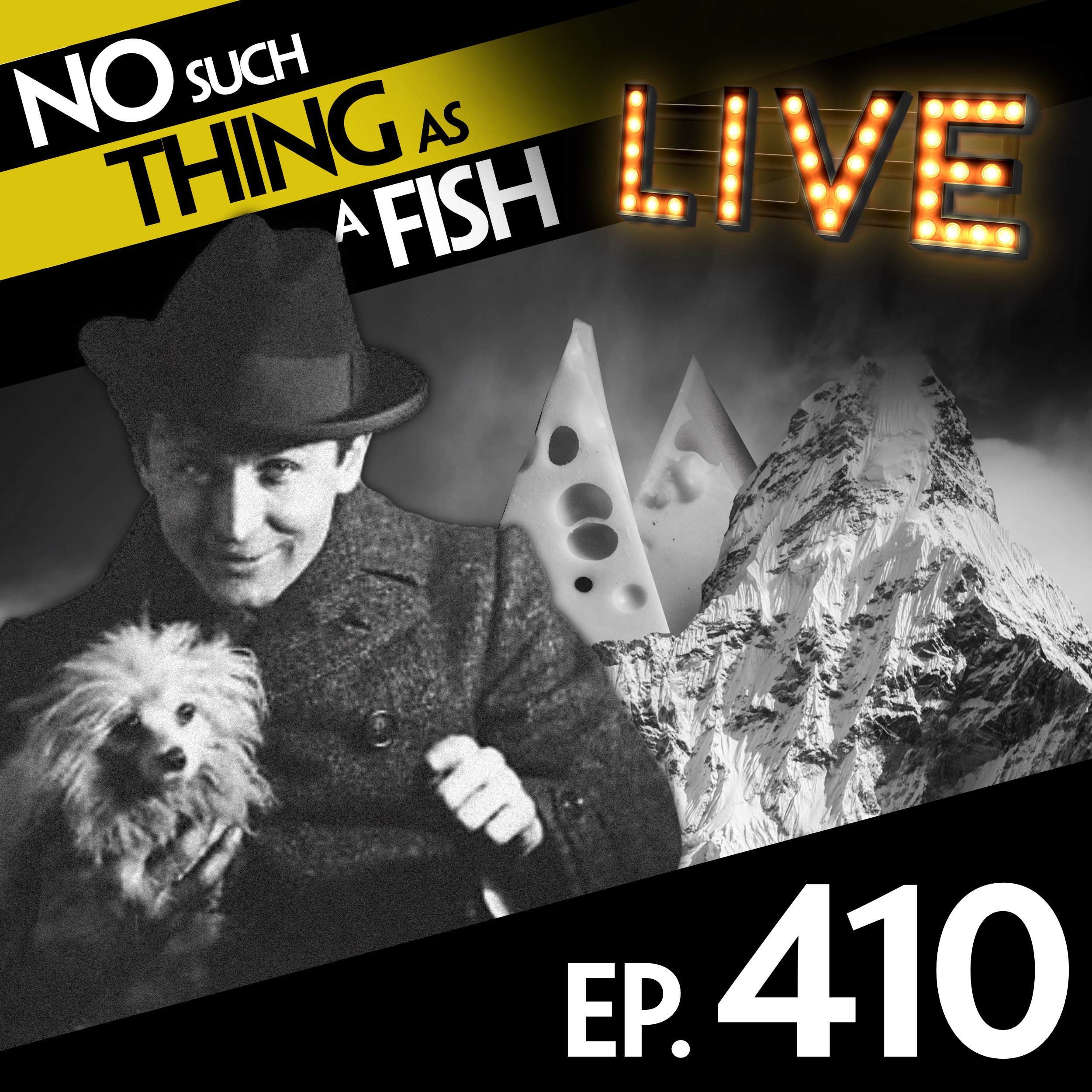 No Such Thing As A Fish Nosuchthing Twitter