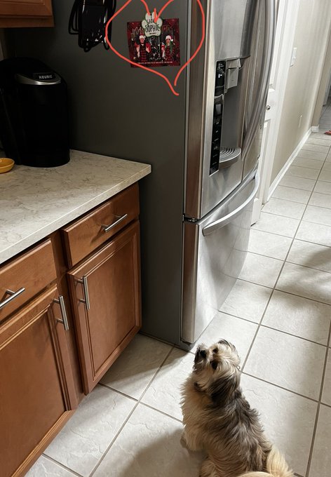 Sophie loves to admire this picture of her best friends looking very distinguished for their Christmas