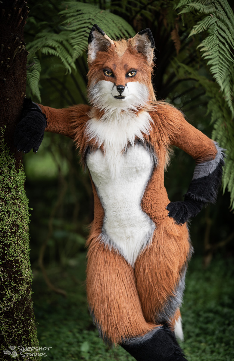Reyna on X: ""Hey there! Looking for a fox, perhaps?" #FursuitFriday 📷  @snepshots ✂ @clckwrkcreature https://t.co/bejMZGBb3a" / X