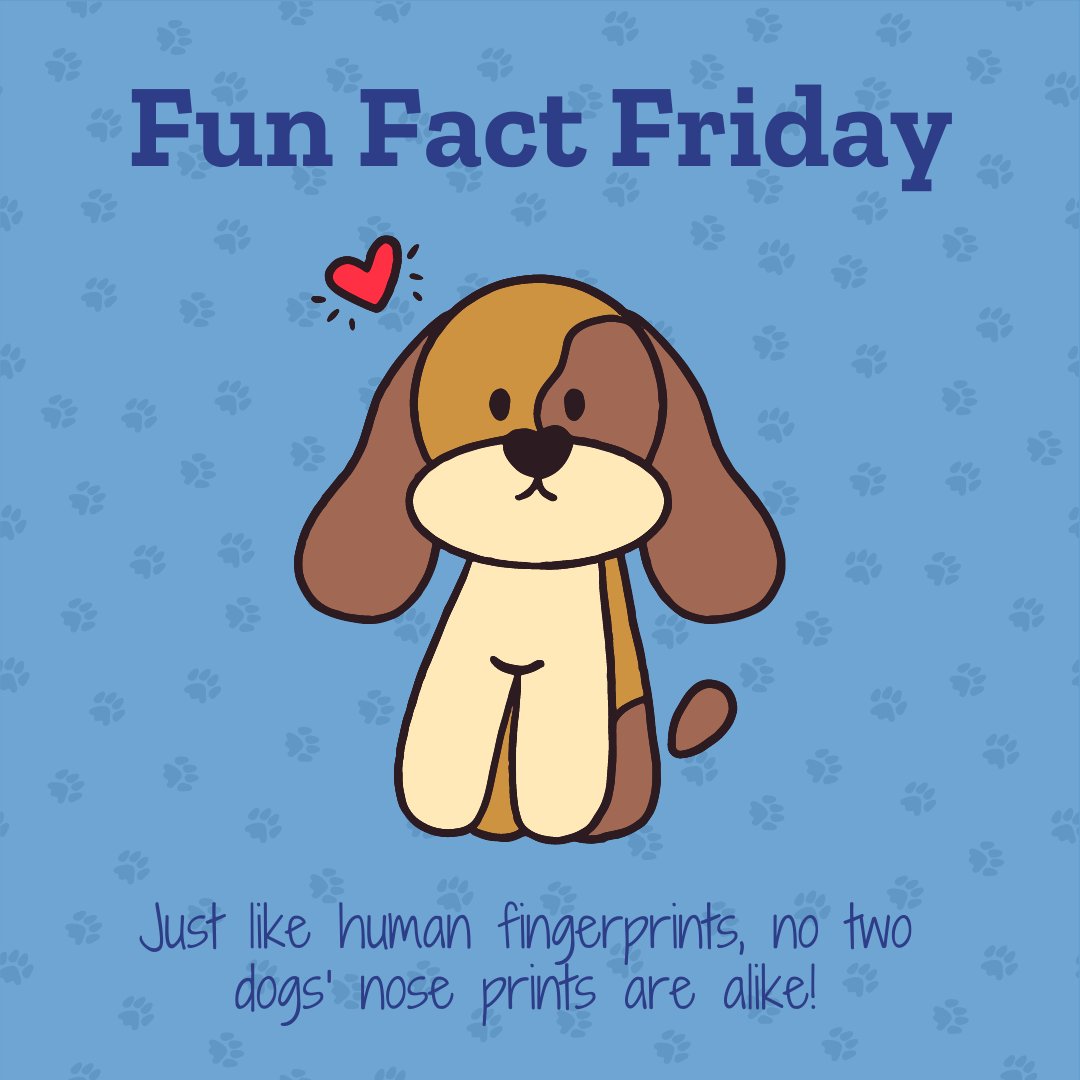 NextGenFocus's tweet photo. DID YOU KNOW... Just like human fingerprints, no two dogs' nose prints are alike! ๐ถ๐พ
#FunFactFriday #TheMoreYouKnow #NextGenerationFocus #SmarterMe #Community #Tutoring #Mentoring #ForsythCountyGA #GwinnettCountyGA #GreaterAtlanta #Nonprofit https://t.co/OvFUWWi6M7