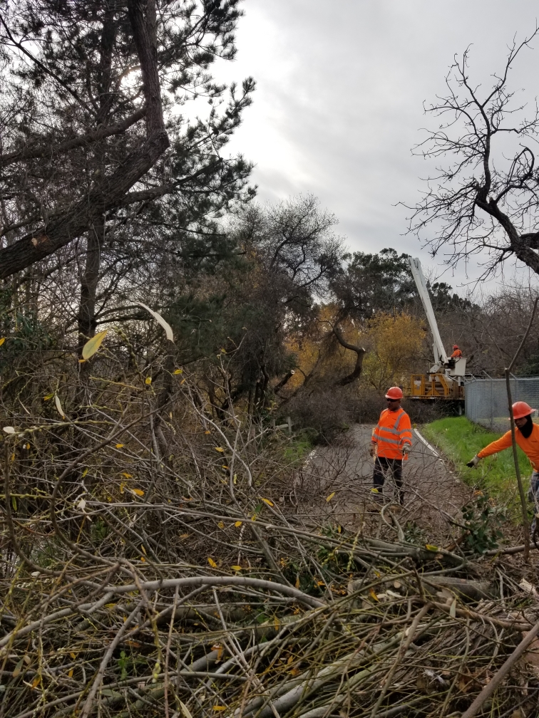 City_of_SLO's tweet photo. Shout out to the crew hard at work clearing vegetation at #BobJonesTrail, this is vital work to reduce fuel for potential wildfires. Thank you to our community members for your continued patience during this time. #BobJonesBikeTrail #SLOCity #SafetyImprovementProject https://t.co/J8QmJKjXsl