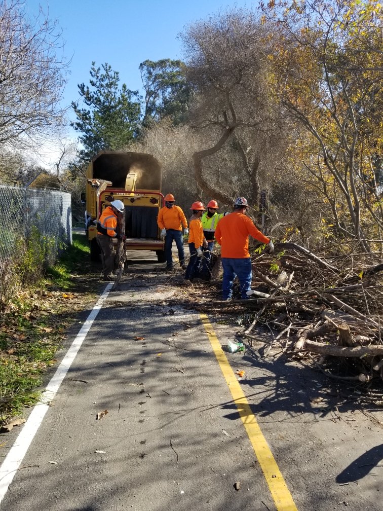 City_of_SLO's tweet photo. Shout out to the crew hard at work clearing vegetation at #BobJonesTrail, this is vital work to reduce fuel for potential wildfires. Thank you to our community members for your continued patience during this time. #BobJonesBikeTrail #SLOCity #SafetyImprovementProject https://t.co/J8QmJKjXsl