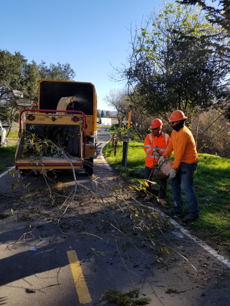 City_of_SLO's tweet photo. Shout out to the crew hard at work clearing vegetation at #BobJonesTrail, this is vital work to reduce fuel for potential wildfires. Thank you to our community members for your continued patience during this time. #BobJonesBikeTrail #SLOCity #SafetyImprovementProject https://t.co/J8QmJKjXsl