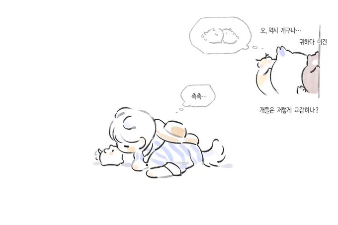 테스타의 평화로운 귀농생활 