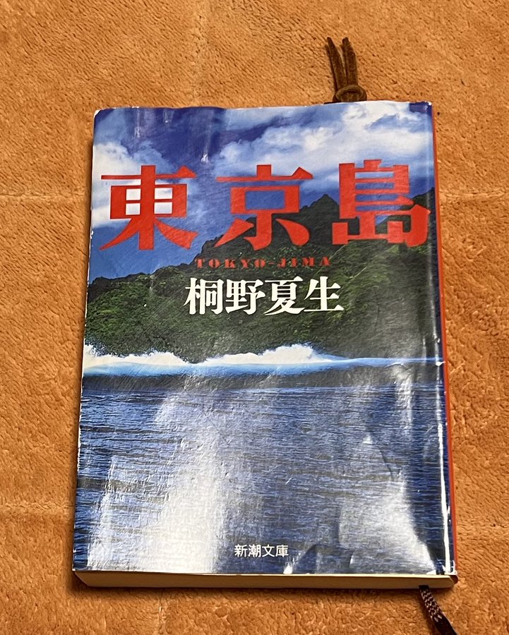 東京島 無人島に男31人女1人 原案はアナタハンの女王事件 Yumeitoの映画と小説