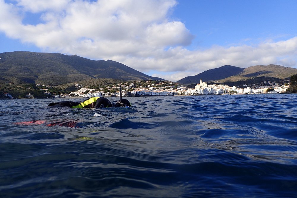 EduardMarquesM's tweet photo. Troballa excepcional de 3 #nacres supervivents a #Cadaqués i ja en portem 11 al CdC!  Esperem q es puguin salvaguardar i serveixin per salvar l'sp. de l'extinció. Una d'elles té afectació per cop i està inclinada! @parcscat @AjCadaques @MPAengage @submon https://t.co/8dj0PaD176