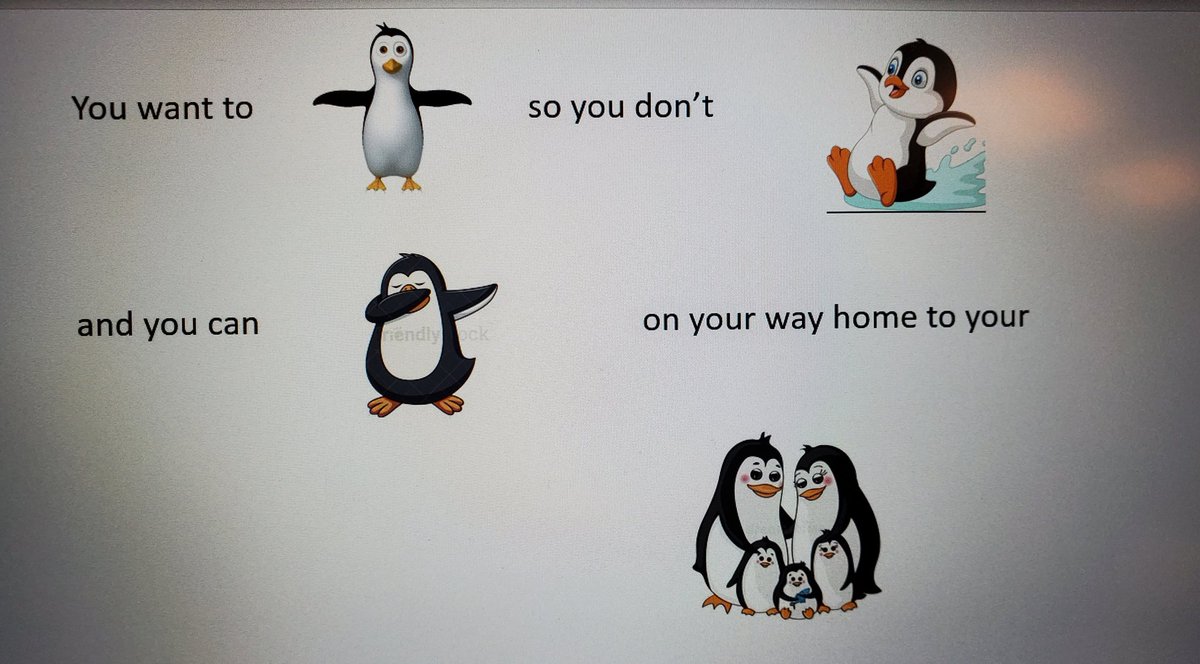 USaftey's tweet photo. Walk Like a Penguin PCM today!! #NEDSAFETY2022 https://t.co/KvslR9bcEd