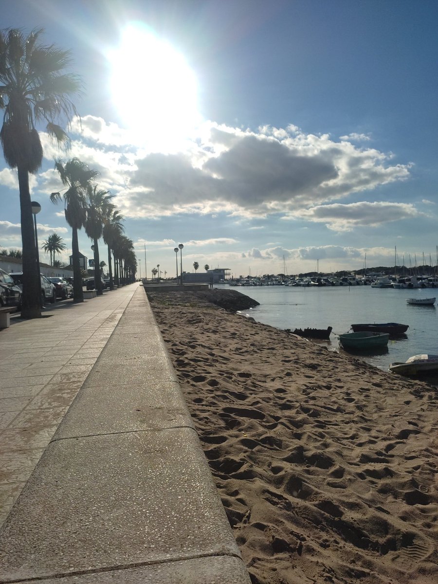 Mariquilla 🌟 tweet media