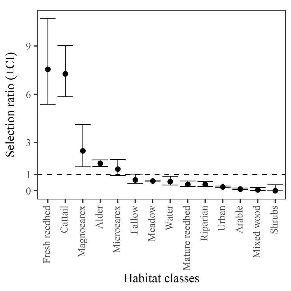 Alessandro Berlusconi tweet media