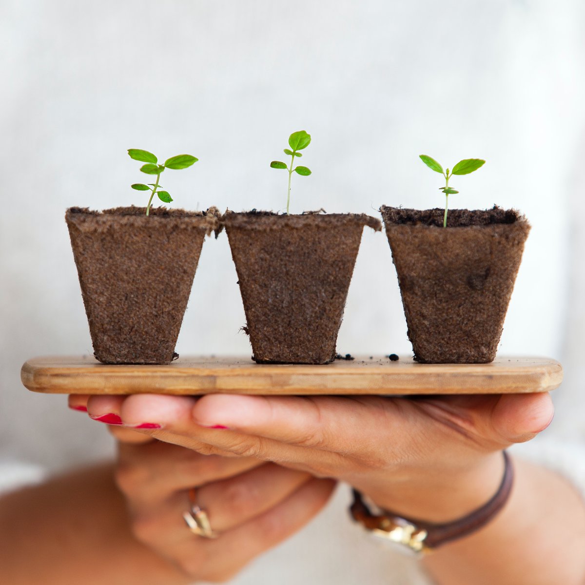 From tiny seedlings grow……
We’ve got exciting opportunities for trainees to join one of the leading consultancies delivering energy and sustainability assessments to the construction industry.  
 aessc.co.uk/careers

#careers #recruitment #trainees #energy #sustainability