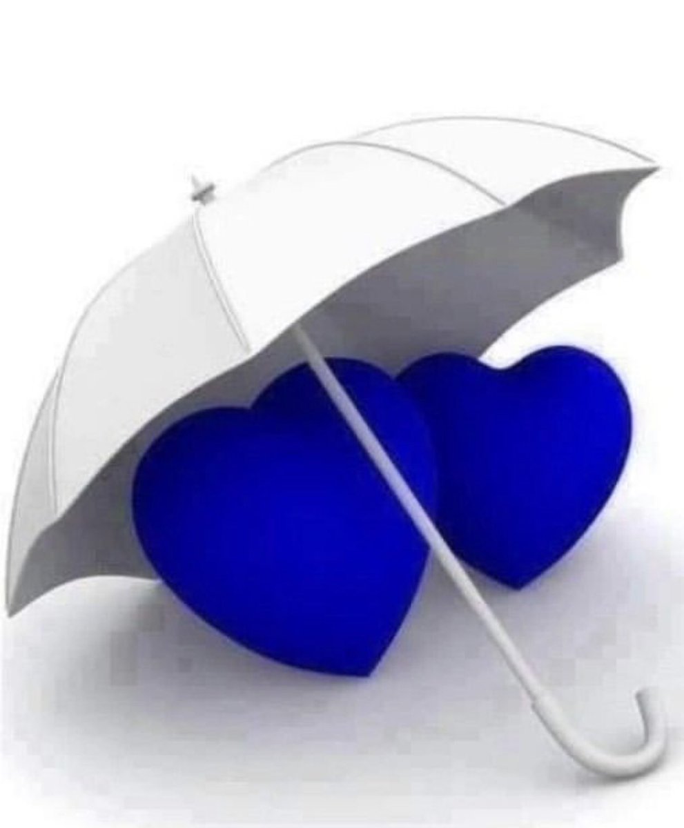 ekmen_zennur's tweet photo. #İnsan ait olduğu yere
#gitmez♥️🥰
#gelir huzur ve #sevgiyle
#iyiakşamlar💙💙💙 https://t.co/iB0WK0Wh4d