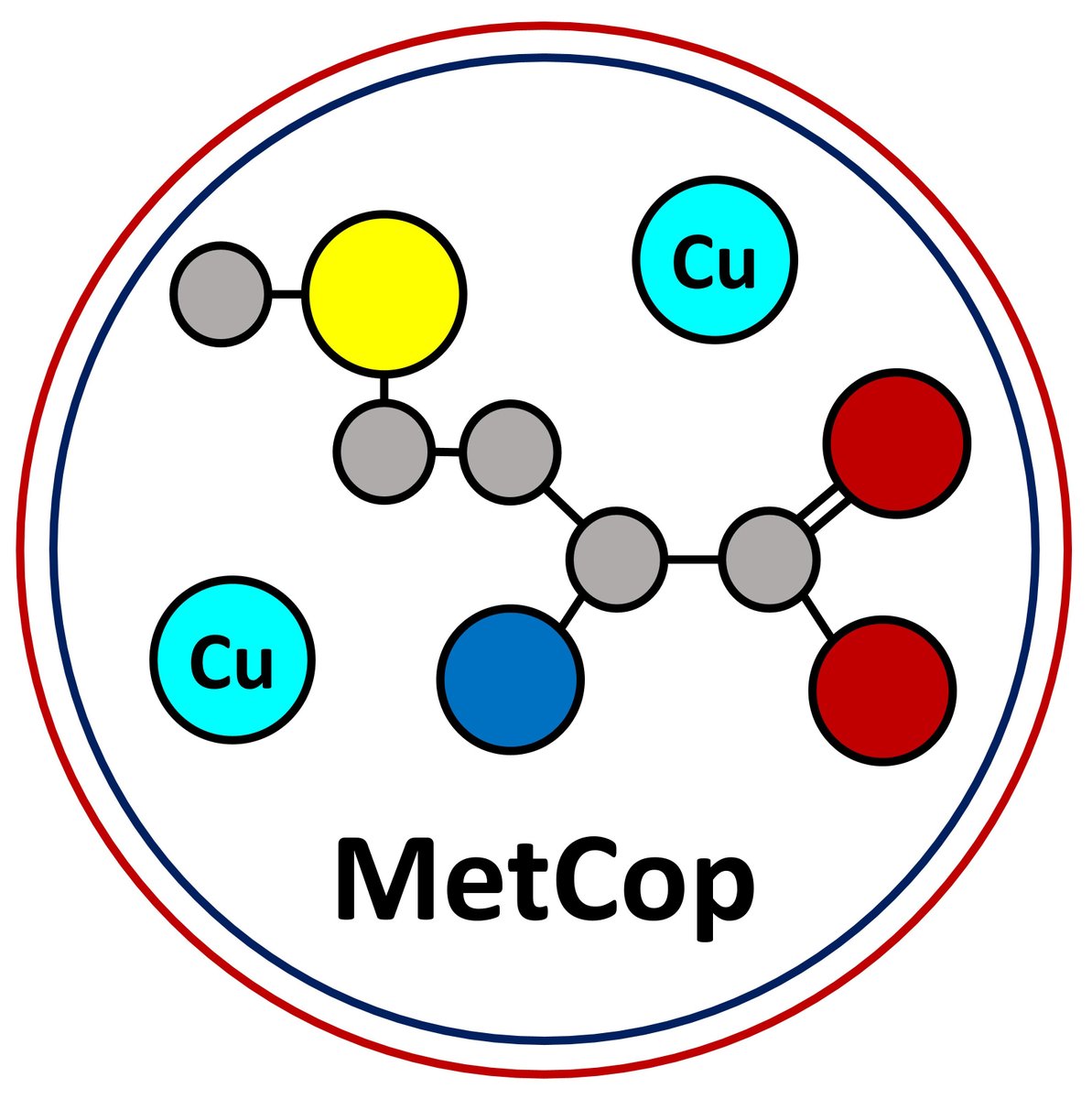 Welcome to our MetCop just starting project! Through a multidisciplinary approach, MetCop aims to establish a correlation between structural features of Met-rich domains of different CueOs, copper binding properties, in vitro enzymatic activity and in vivo copper resistance