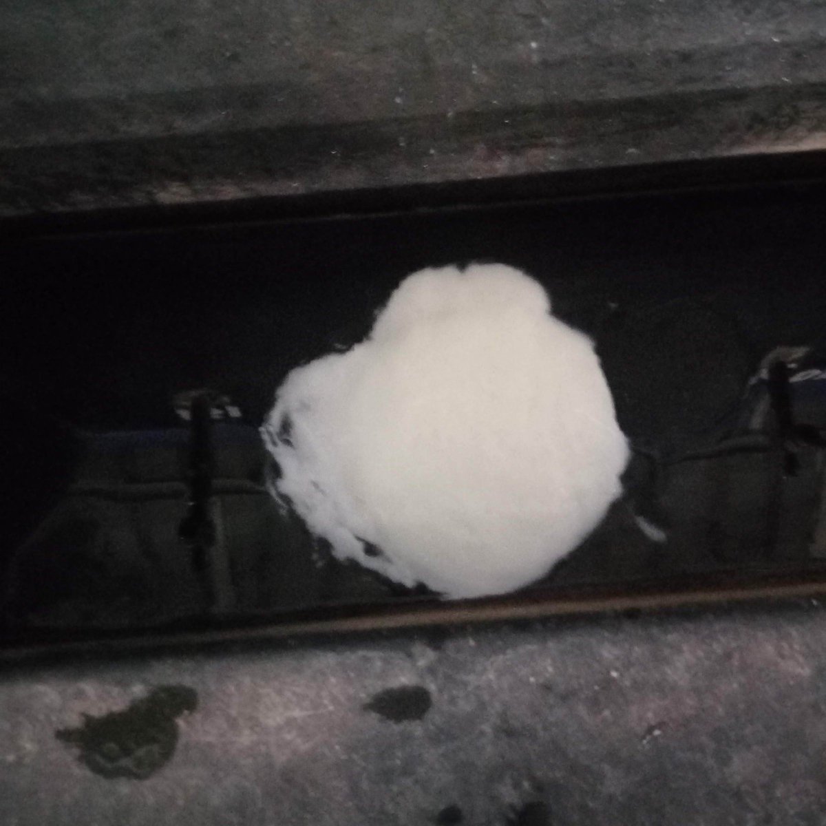 NMB_thoughts's tweet photo. dear @IRCTCofficial i have bought one #lassi from #Vijayadairy parlour of #Telanga  from PF 1 of #Secundrabad #RailwayStation    this was the condition with an expiry day upto 23-01-2022 Kindly please have a look into that. 
#foodsaftey  #FSSAI
#IndianRailways https://t.co/DPQETaDbmX