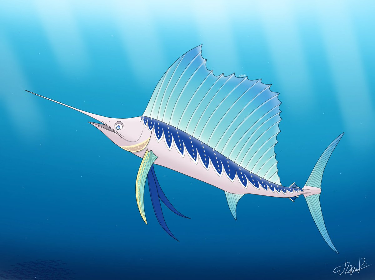 Sailfish のイラスト マンガ コスプレ モデル作品 15 件 Twoucan