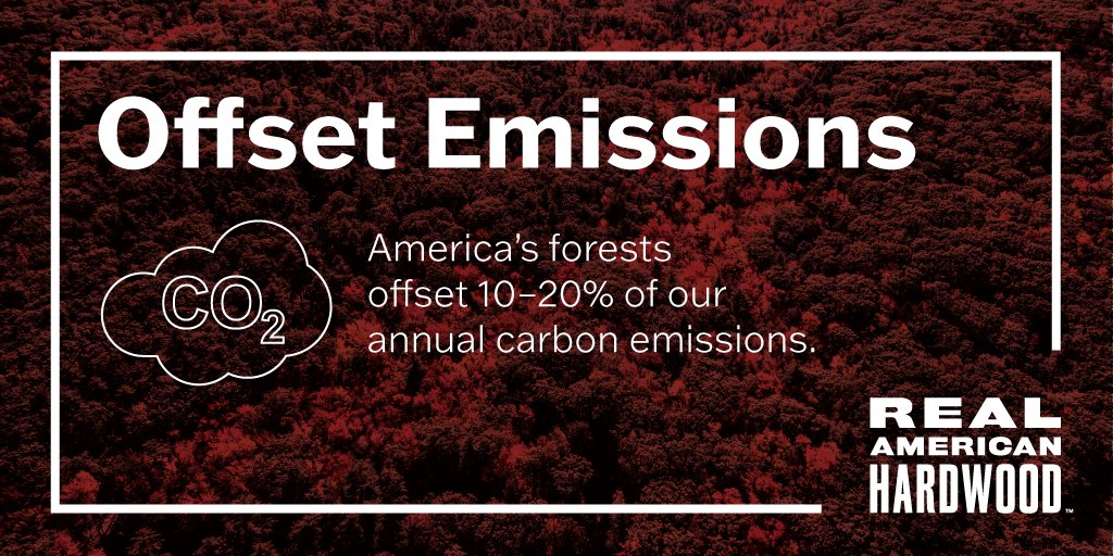 #DYK properly managed forests combat climate change?

#RealAmericanHardwood #forestfacts #treefacts