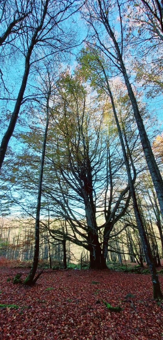 Rincones de aquí (CLII) <a href="/VisitNavarra/">Visit Navarra</a> <a href="/VisitPamplona/">Pamplona - Iruña Turismo</a> <a href="/trnavarra/">Turismo Rural Navarra</a> <a href="/QuintoReal/">Quinto Real Turismo Rural</a>