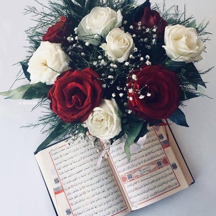 alhasani_7's tweet photo. " يا معشر المُنكسرة قلوبهم، لا يضركم كسر أهل الأرض لقلوبكم ما دام في السماء جابرها ".💛🌻 https://t.co/uSJjGDi65b
