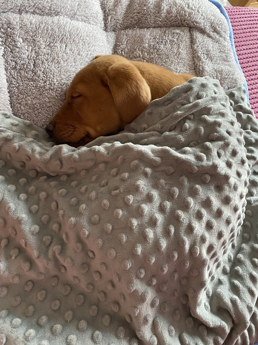 Test Valley School Games Organiser tweet media