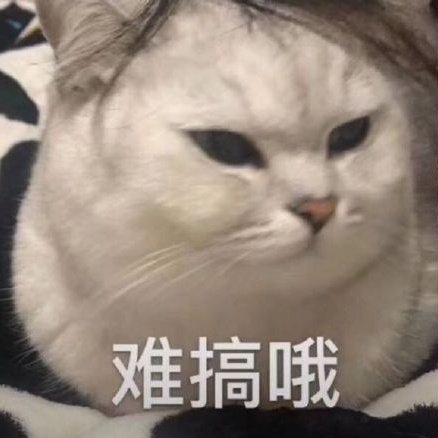 syttty's tweet photo. 要穷死了 https://t.co/oAnXkTeN3t