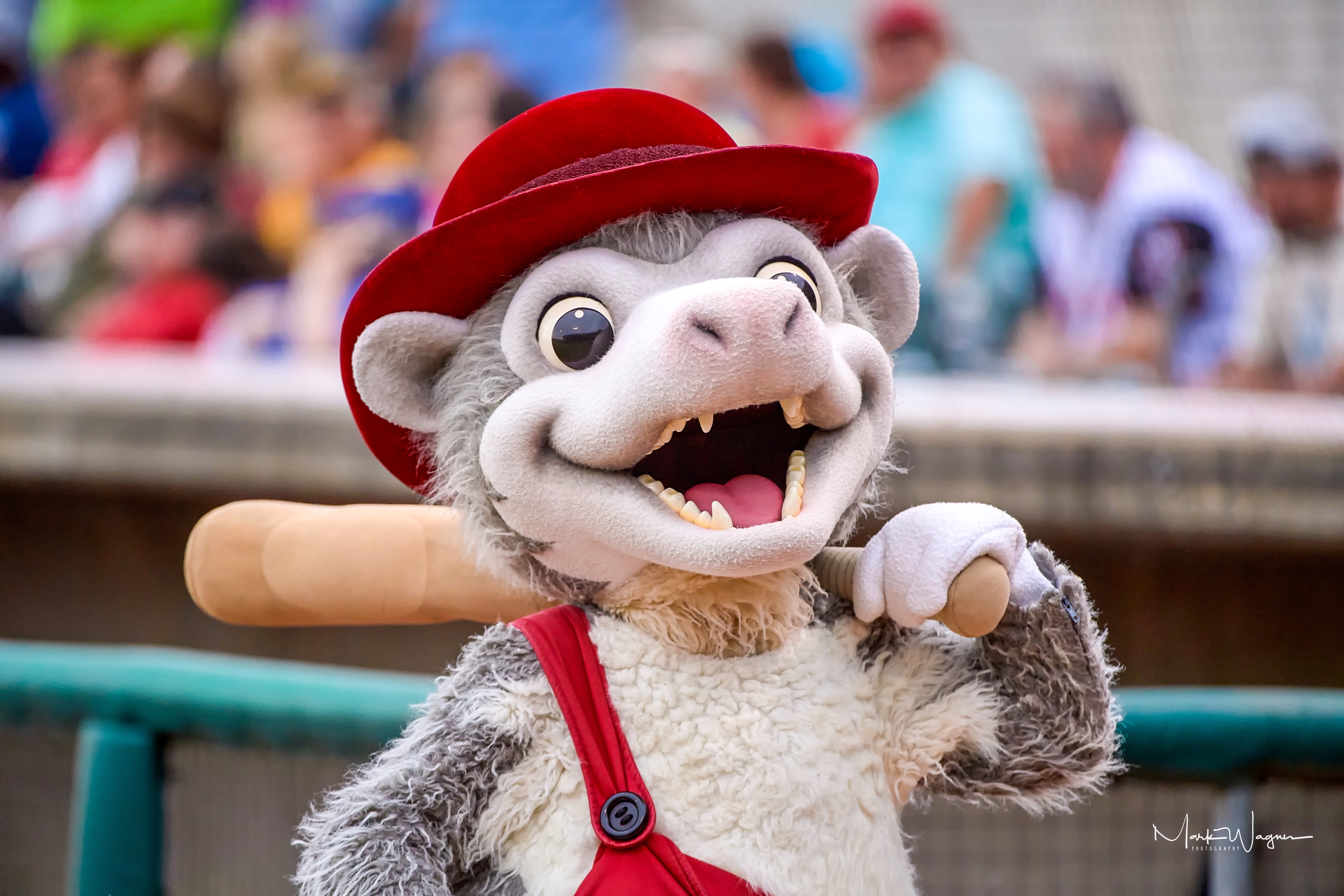 Arkansas Travelers Artravs Twitter