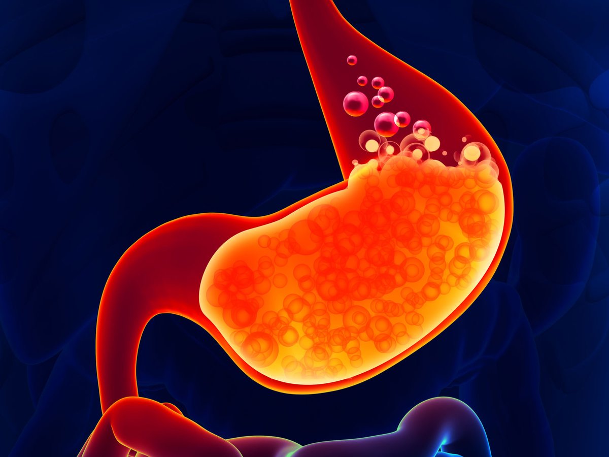(تجربة 2)

تعرف شو بيصير بجسمك لو قررت تقطع الخبز 14 يوم ؟
تعال احكيلك. 
اول شي لازم تعرفه هو ان 50%...
