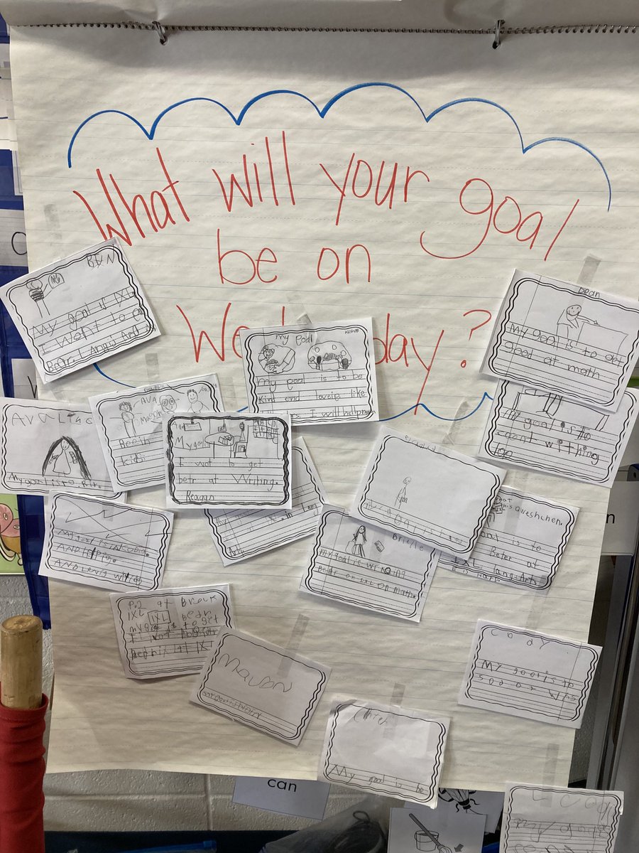LightUpLiteracy's tweet image. Student goals in 1st grade? Yes!! ⁦@kanelandKSS⁩ #kanelandpride