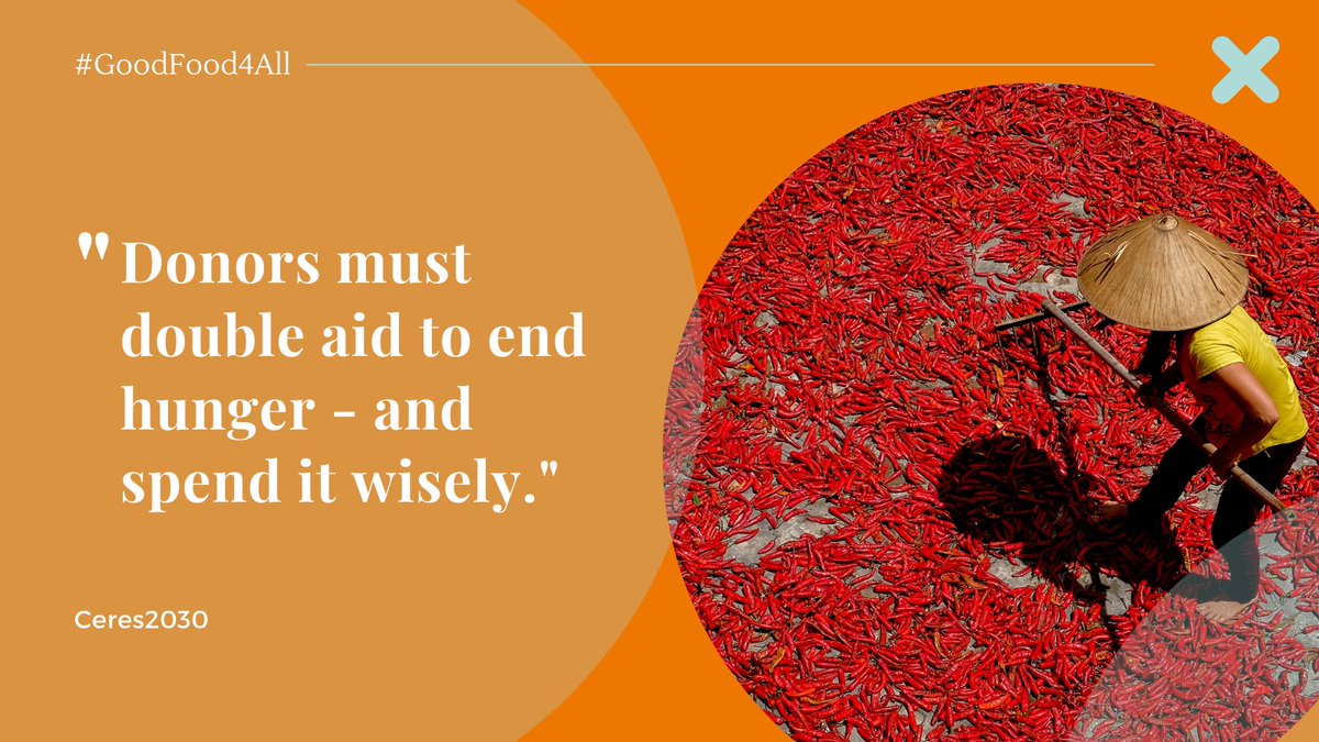 In 2020, <a href="/Ceres2030/">Ceres2030: Sustainable Solutions to End Hunger</a>'s new research showed that donors must double their investments between now and 2030 to end hunger, double smallholder farmer incomes &amp; protect the climate - and they must spend it wisely! Find out more ceres2030.org #GoodFood4All #31DaysOfGoodFood