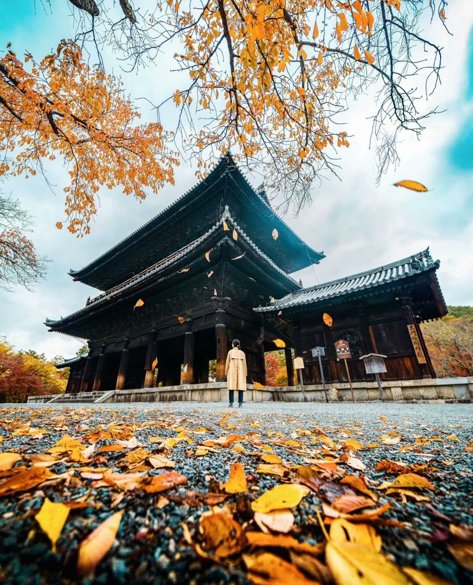 TravelVida's tweet photo. Kyoto, Japan 🇯🇵
📸: @demasrusli | IG https://t.co/gCXQct6Msp