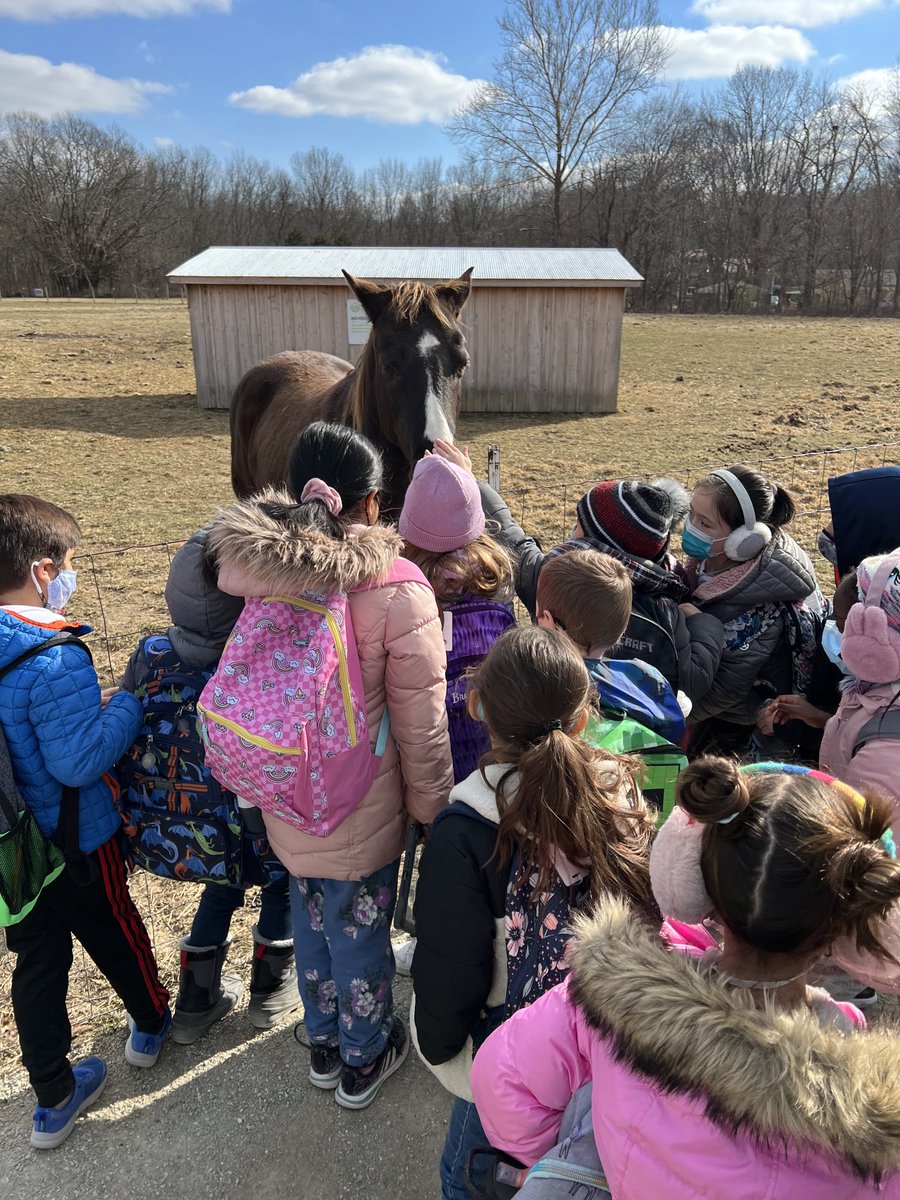 MrsKing2nd's tweet photo. To say these kids were excited to see Spirit is an understatement! It’s safe to say they loved her! #TCECardinals #FishersAgriPark @FishersParks ❤️🐎 https://t.co/em8lJqFRnV