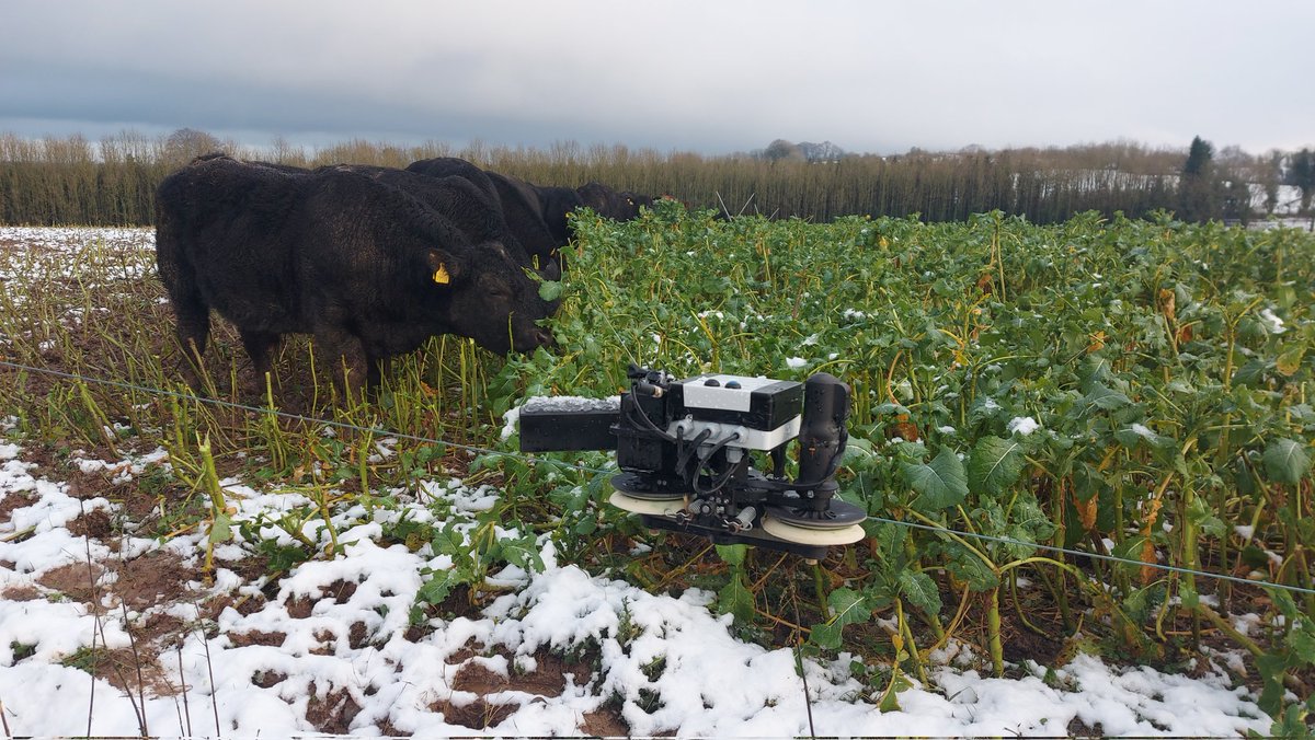 Freshgraze tweet media