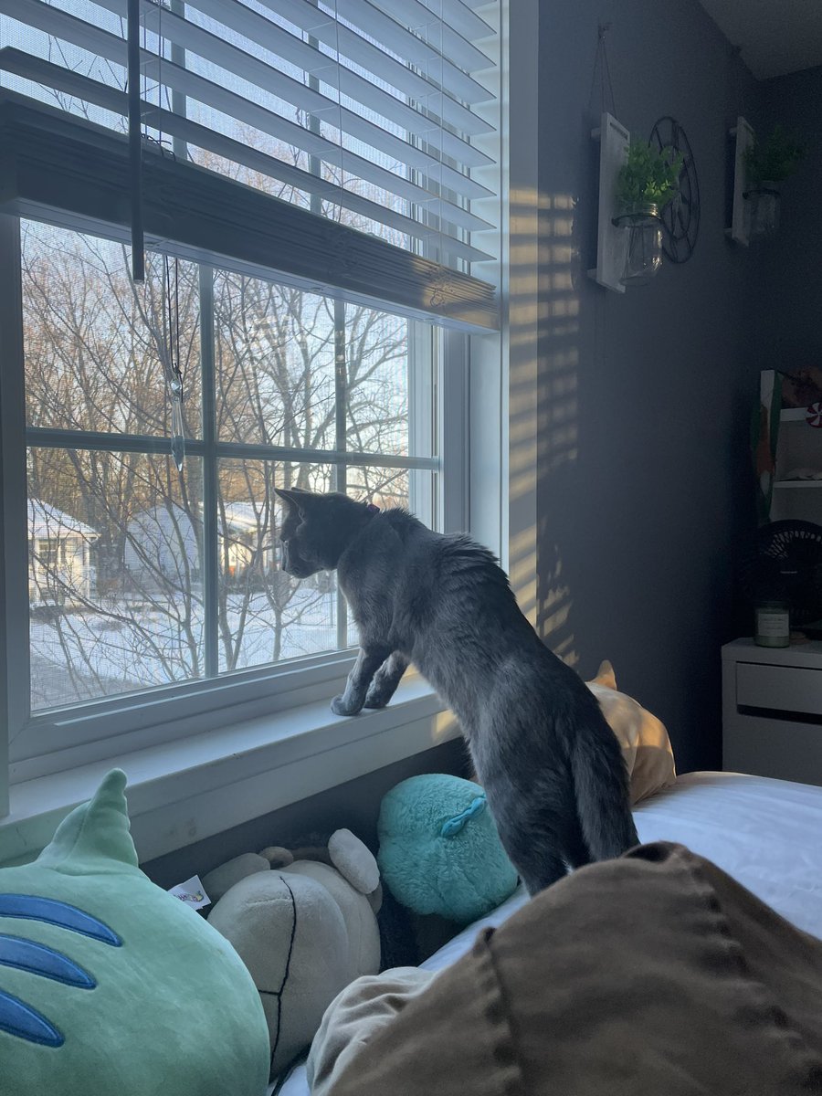 thefknchosenone's tweet photo. #conefree https://t.co/nyvaQk2IbD